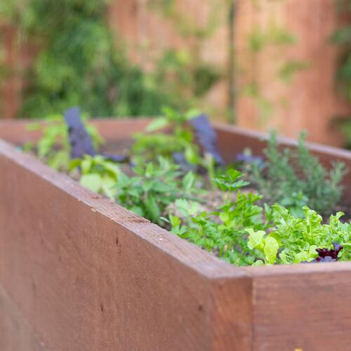 Custom Redwood Planter Box